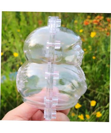 SUPVOX Clear Fruits Fruit Mould Fruits Shaping Tool Fruit Shaper Melon Stereotypes - Buy Online on GoSupps.com