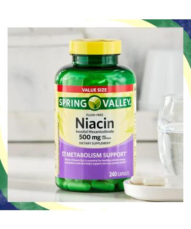 Vitamin B3 Niacin 500mg Flush Free Capsules Dietary Supplement 240 Pills (Pack of 1) - Buy Online on GoSupps.com