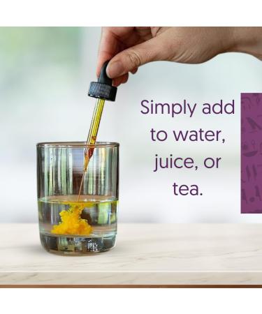 Sun God Medicinals Ra Herbals Organic Chaga Liquid Extract - Vitality Support - 1 fl oz - Buy Online on GoSupps.com