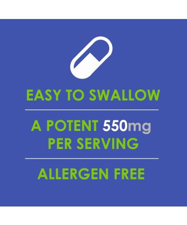 Ginkgo Biloba Supplement - Nootropic Herbal Extract for Memory, Energy, Focus - 60 Capsules by VH Nutrition - Buy Online on GoSupps.com