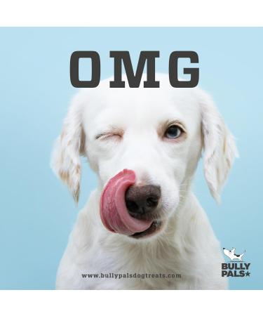 BULLY PALS - 12 inch Beef Collagen Sticks - Dog Dental Chew - 5 Pack - Odour Free Rawhide Free Long Lasting Alternative to Bully Sticks All Natural Protein Rich 1 count (Pack of 5) - Buy Online on GoSupps.com