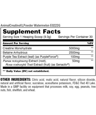 Animal Creatine XL Powder with PurpleForce & Senactiv - Enhanced Creatine Monohydrate Supplement for Endurance and Recovery - Watermelon Flavor - 9.84 oz - Buy Online on GoSupps.com