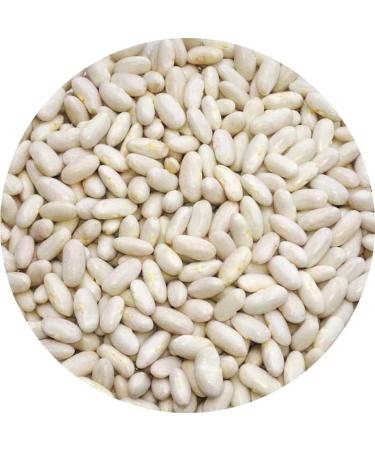 Organic Italian Cannellini Beans 500g - 1.1lb | Premium Quality, Pack of 1 - Buy Online on GoSupps.com
