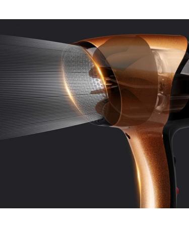 Professional Hair Dryer 1600W High Power Hair Dryer Ion Salon Lightweight Hair Dryer Three Heat and Two Speeds Hot and Cold Air - Buy Online on GoSupps.com