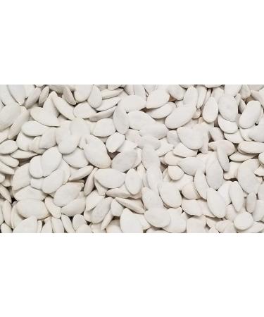 Pumpkin Seeds - Home-style In Shell Roasted Salted - 3 lbs. Resealable Bag by Presto Sales LLC | Crunchy & Delicious - Oil Free Snack - Buy Online on GoSupps.com