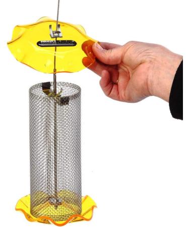 Birds Choice FF116A 1 Quart Yellow Bird Feeder - Premium Quality - Buy Online on GoSupps.com