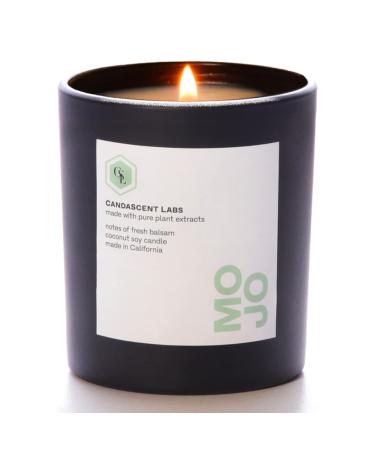 Wellness Candle Organic Forest Bathing by CandaScent Labs: Rejuvenating Properties in The 100% Botanical Black Spruce and Fir Balsam Candle Luxurious & Synthetic-Free