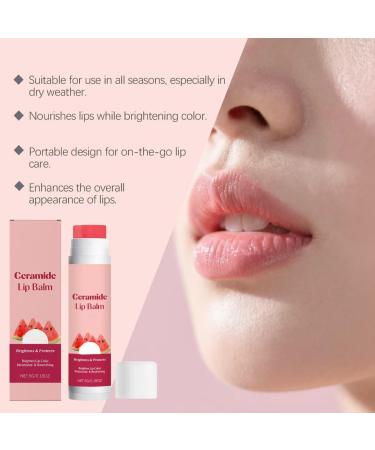  Sgjwyc Niacinamide Watermelon Tinted Lip Balm - Watermelon Tinted Lip Balm - Moisturizing Lip Balm to Moisturize and Nourish Lips - Lightweight and Non-Greasy - 1 Piece - Buy Online on GoSupps.com