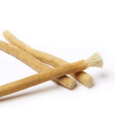 Miswak Sticks for Teeth - Natural Toothbrush No Toothpaste Needed Siwak Chew Sticks (1 Pack - Buy Online on GoSupps.com