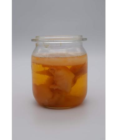 Buy Jun Mushroom Scoby - Premium Kombucha Tea Mushroom for Refreshing Fermented Drinks | International Shipping Available - Buy Online on GoSupps.com