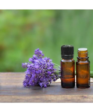 Braunglas 30ml Empty Glass Bottles Set - 15pcs Drop Insert with Black Plastic Lids - Ideal for Essential Oils Perfume and Fragrance - Buy Online on GoSupps.com