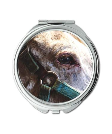 Mirror Compact Mirror animal animal photography close up pocket mirror portable mirror
