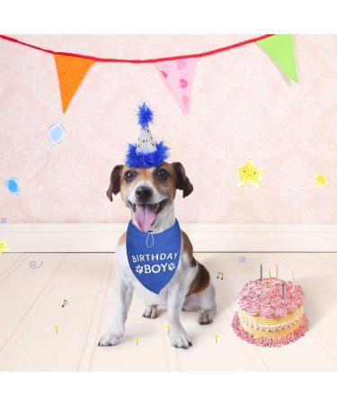 Dog Birthday Hat Bandana Set - Soft Birthday Boy Triangle Scarf and Number Hat  Cute Birthday Party Supplies with 0-8 Figures Blue - Buy Online on GoSupps.com