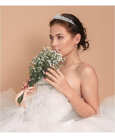 Semato Rhinestone Crown Tiara - Princess Crystal Silver Headpiece for Women/Girls | Perfect for Birthday, Prom, Wedding, Christmas, Valentine's Day - Buy Online on GoSupps.com