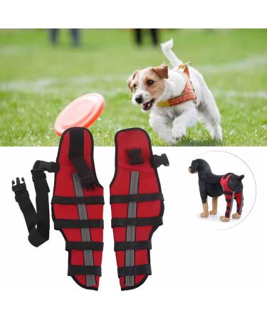 Dog Knee Brace Adjustable Dog Leg Brace Double Rear Leg Brace Elastic Shockproof Dog ACL Brace CCL Brace Hind Leg Pet Knee Pads with Reflective Strips for Pets and Dogs (L) Large - Buy Online on GoSupps.com