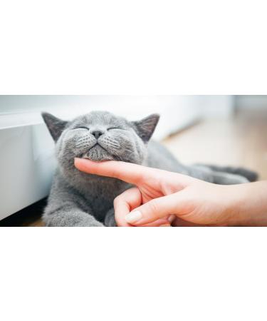 Fish Oil for Cats Spray - Omega 3 - for Cats - Heart Brain and Joint Function - SOFTGELS - cat Omega 3 Oil - 2 Bottle (360 SOFTGELS) - Buy Online on GoSupps.com