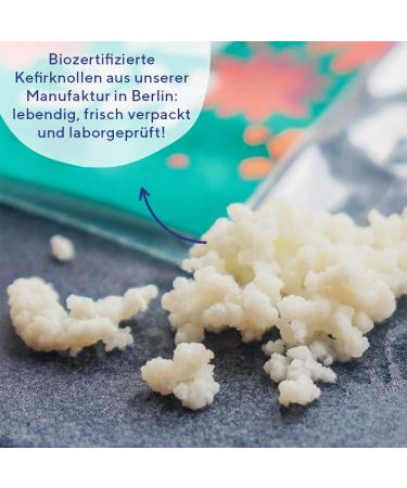 Buy Fair Starter Culture Kefir - Make Organic Milk Kefir at Home | Durable Tubers & German Instructions | 1x Organic Kefir Culture - Buy Online on GoSupps.com