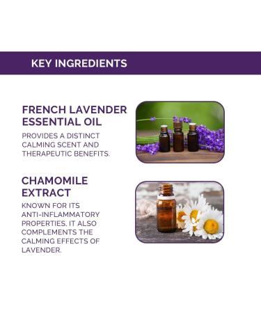 O.trix French Lavender Body Wash | Soothing Shower Gel for All Skin Types | Calming Aromatherapy | Natural Ingredients | Unisex Body Wash - 290ml - Buy Online on GoSupps.com