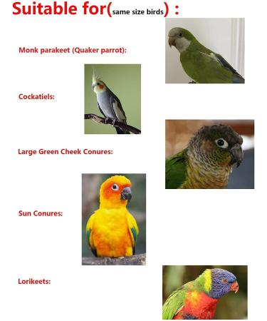 Guanlant Bird Flight Suits for Parrots & Cockatiels - Training Diapers with Leash Hole - Ideal for Monk Parakeets, Sun Conures & More - Buy Online on GoSupps.com