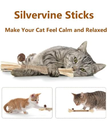 Organic Cat Mint Sticks - 6PCs Dental Chew Toys for Cats | Tooth Cleaning & Fresh Breath - Buy Online on GoSupps.com