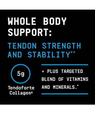 BEYOND RAW Dynamic Gainer - High-Tech Mass Gainer for Optimal Absorption & Strength | Vanilla Cheesecake | 15 Servings - Buy Online on GoSupps.com