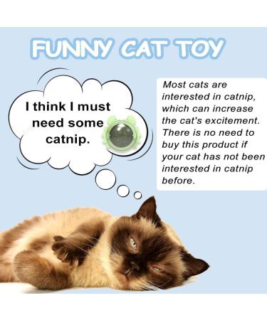 Havenfly 3 Catnip Balls Interactive Cat Toys 360 Rotating Catnip Treats with Storage Lid Effective for Cleaning Teeth and Enhancing Cat's Excitement (3PCS) - Buy Online on GoSupps.com
