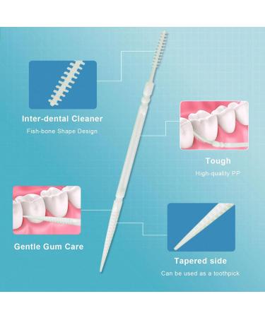 Premium Bendable Bristle Toothpicks - Dual-End Tooth Dotcher in Clear Box | Perfect for Banquets & Everyday Use - Buy Online on GoSupps.com