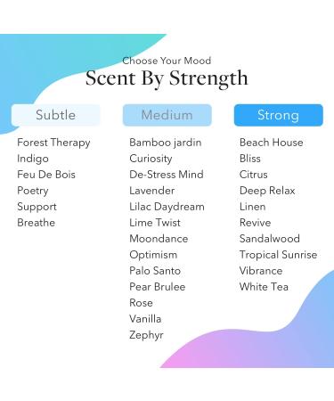 Aera Mini Forest Therapy Essential Oil Refill - Aromatherapy Scent with Pink Pepper Cypress & Ho Woods - Compatible with Aera Mini Diffuser - Buy Online on GoSupps.com