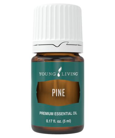 Pine Essential Oil 5ml by Young Living Essential Oils - Uplifting Aroma - Refreshing Breathing Experience - Repels The Influence of Negative Energy - Essential Oil Diffusers