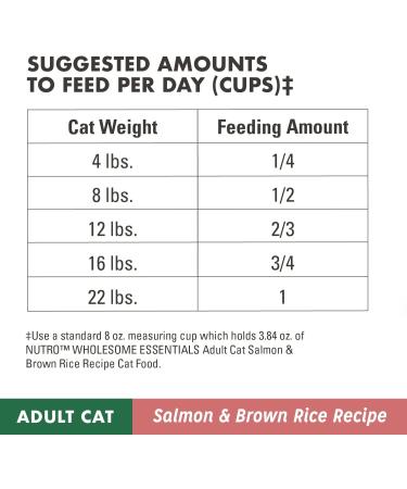 NUTRO Adult Dry Cat Food, Salmon & Brown Rice Recipe, 14 lb - Pack of 1 - Buy Online on GoSupps.com