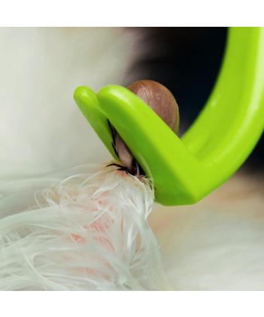 Tick Remover Tool and Tique Identification Card for Dogs Cats and Humans for Lyme Prevention - Buy Online on GoSupps.com