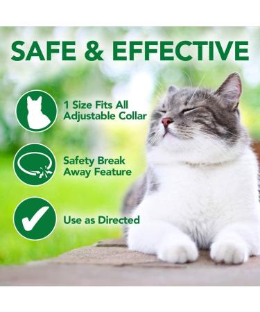 Vet's Best Flea and Tick Repellent Collar for Cats | Natural Pest Protection | Fits Up to 20 Necks - Buy Online on GoSupps.com