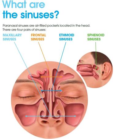 NaturalyPure ClearSinus - Allergy and Sinus Congestion Relief. Runny Stuffy Itchy Nose and Eyes. Sore Throat and Cough. 120 Vegan Capsules. - Buy Online on GoSupps.com