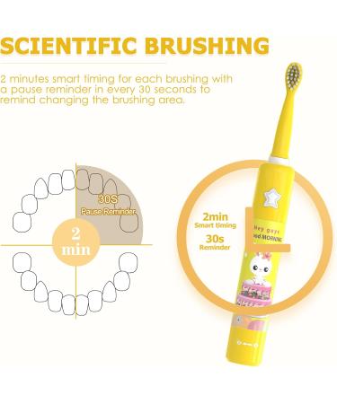 Buy Rechargeable Musical Electric Toothbrush for Kids 3-12 - Intelligent Timer 3 Modes 4 Brush Heads & Holder - Fun Caricature Design! - Buy Online on GoSupps.com