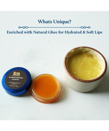 Blue Nectar Shubhr Orange Lip Balm & Gloss | Ayurvedic Lip Care with Ghee & Vitamin C | Paraben & Sulphate Free | 100% Natural (0.5 oz 10 Herbs - Buy Online on GoSupps.com