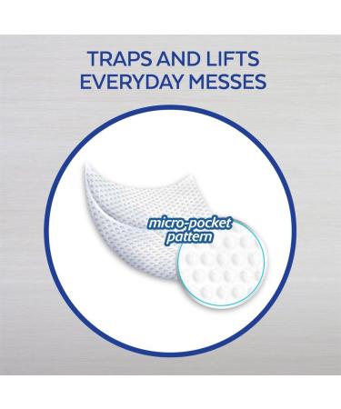 Lysol Disinfectant Wipes 80ct, Early Morning Breeze - Antibacterial Cleaning for Multi-Surface Disinfecting - Buy Online on GoSupps.com