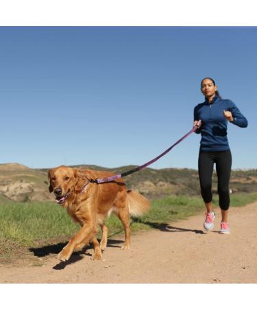 Halti Active Dog Leash with Neoprene Padding & Shock Absorption - 3m Reflector Freehand Design for Small to Medium Dogs - Ideal Running Leash (Size Small Black) - Buy Online on GoSupps.com