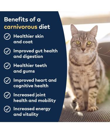 ZIWI Peak Air-Dried Cat Food - High Protein, Grain-Free, All Natural with Chicken - 14oz - Buy Online on GoSupps.com