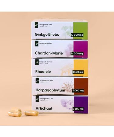 Chardon-Marie 14 000 mg Haute teneur en Silymarine 1 mois de cure intensive 1 unit (Lot de 1) - Buy Online on GoSupps.com