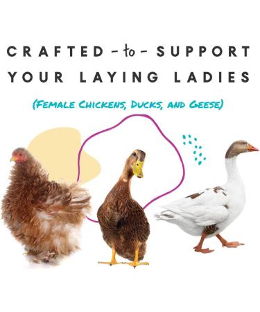 Manna Pro Omega Egg Maker Chicken Feed Supplement - 5 Pounds - Buy Online on GoSupps.com