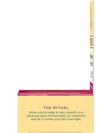 Burt's Bees Overnight Intensive Lip Treatment - Natural Passionfruit & Chamomile Moisturizer, 0.25 oz - Buy Online on GoSupps.com