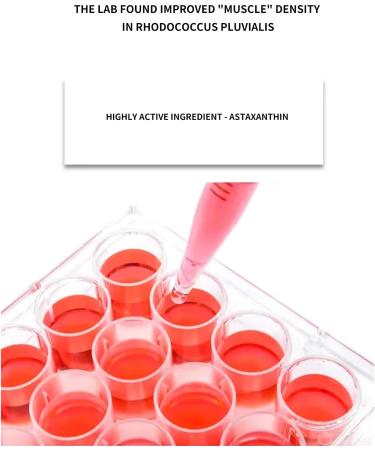 BLUE LOVE Astaxanthin Seaweed Facial Water Anti-Aging Hydration Facial Moisturizer Skincare for All Skin Types - Buy Online on GoSupps.com