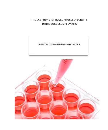 BLUE LOVE Astaxanthin Seaweed Face Serums for Men & Woman Anti-Aging Hydration Facial Moisturizer Skincare for All Skin Types (Pack of 1 Unscented) Unscented 1.35 Fl Oz (Pack of 1) - Buy Online on GoSupps.com