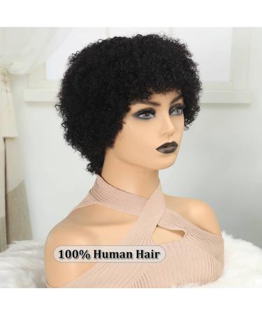 Plecare Afro Wigs: 100% Human Hair, Glueless Short Kinky Curly Wigs - Perfect for Cosplay or Daily Wear (Natural Black) - Buy Online on GoSupps.com