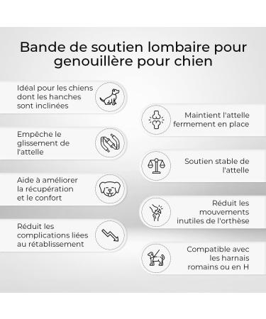 Ortocanis - Dog Back Belt Lumbar Fixation for Knee Brace Belt Only Size XS - Buy Online on GoSupps.com