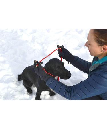 K9 Bridle - to stop your dog pulling (Medium Black) Medium Black - Buy Online on GoSupps.com