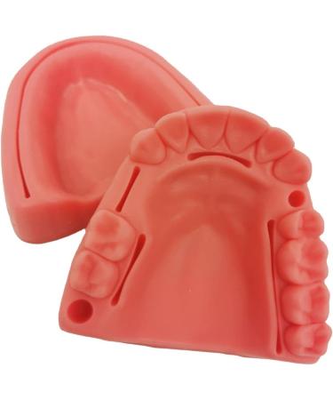Ericeion 2PC Dental Seam Practice Model | 3-in-1 Oral Seam Lessons | Soft Silicone Wound & Gingival Training Tools for Dental Students - Buy Online on GoSupps.com