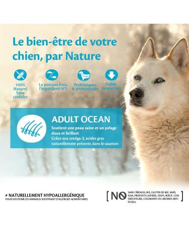 Wellness Core Ocean Natural and Grain-Free Dry Dog Food for Large and Medium Dogs Salmon/Tuna 1.8 kg - Buy Online on GoSupps.com