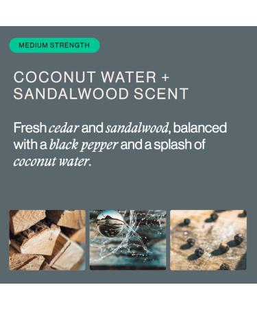 OffCourt Sulfate-Free Body Wash 14oz - Exfoliating, Non-Drying Formula for Fresh & Smooth Skin - Coconut Water & Sandalwood Scent - for Men & Women - Buy Online on GoSupps.com