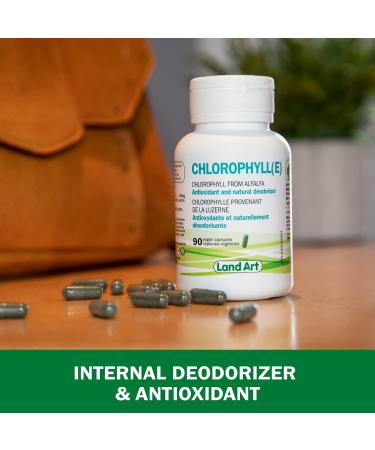 Chlorophyll Capsules - 90 pills - Cold Extracted from Non-GMO Alfalfa - Detox - Alkaline - Natural Body Deodorant Antioxidant - Made in Canada- PACK OF 2 - Buy Online on GoSupps.com